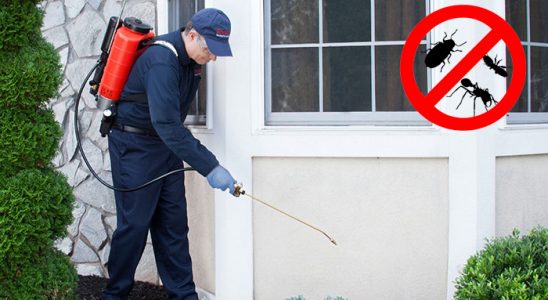Sivrihisar Dezenfeksiyon böcek ilaçlama ve haşere kontrolü — ilaclama-tr.com
